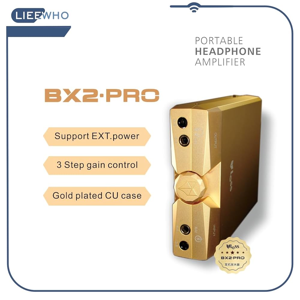 HIFIMAN HM901R バランスカード （HiFiMAN HM-901 Standard Card